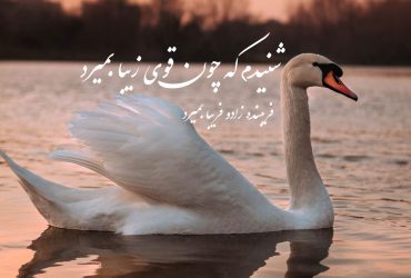 شعر شنیدم که چون قوی زیبا بمیرد - حمیدی شیرازی