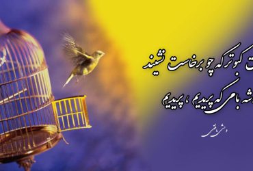 وحشی بافقی : شعر دل نیست کبوتر که چو برخاست نشیند