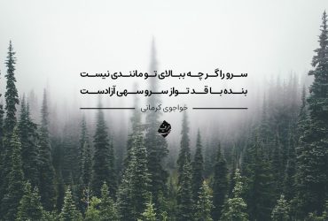 خواجوی کرمانی - سرو را گر چه ببالای تو مانندی نیست