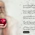 شعر سیب افلاطون فریدون توللی - زنده کی گردد به مردن روبرو
