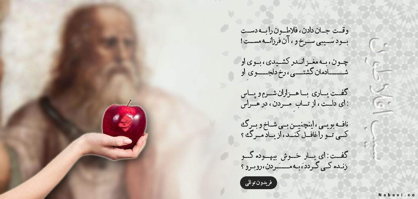 شعر سیب افلاطون فریدون توللی - زنده کی گردد به مردن روبرو