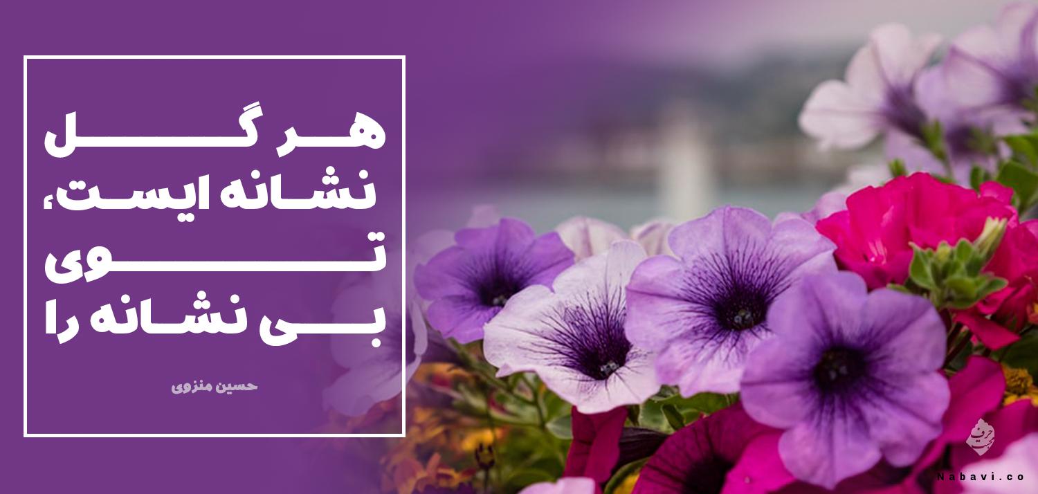 شعر حسین منزوی : هر گل نشانه ایست، توی بی نشانه را