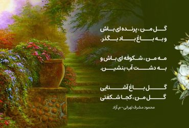 گل من پرنده ای باش - گل باغ آشنایی - محمود مشرف آزاد تهرانی