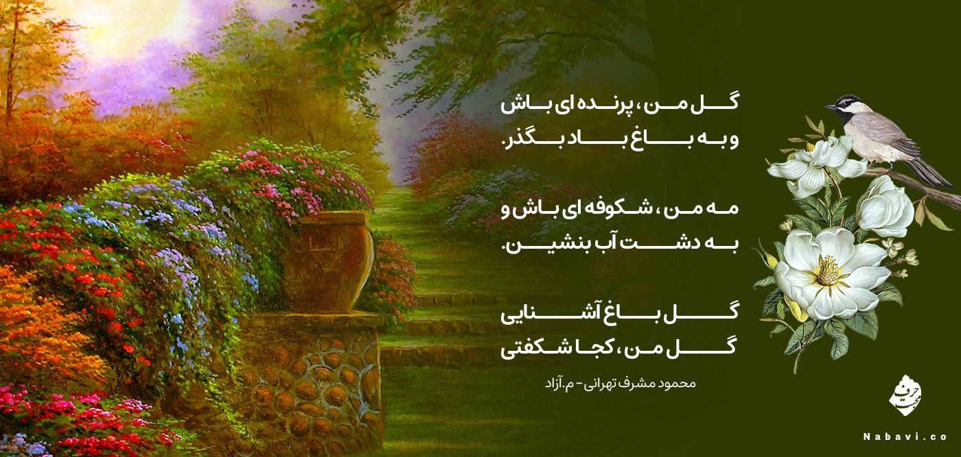 گل من پرنده ای باش - گل باغ آشنایی - محمود مشرف آزاد تهرانی