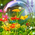 حباب و گل‌های زیبا