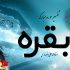 تفسیر صوتی سوره بقره - استاد محمدعلی انصاری