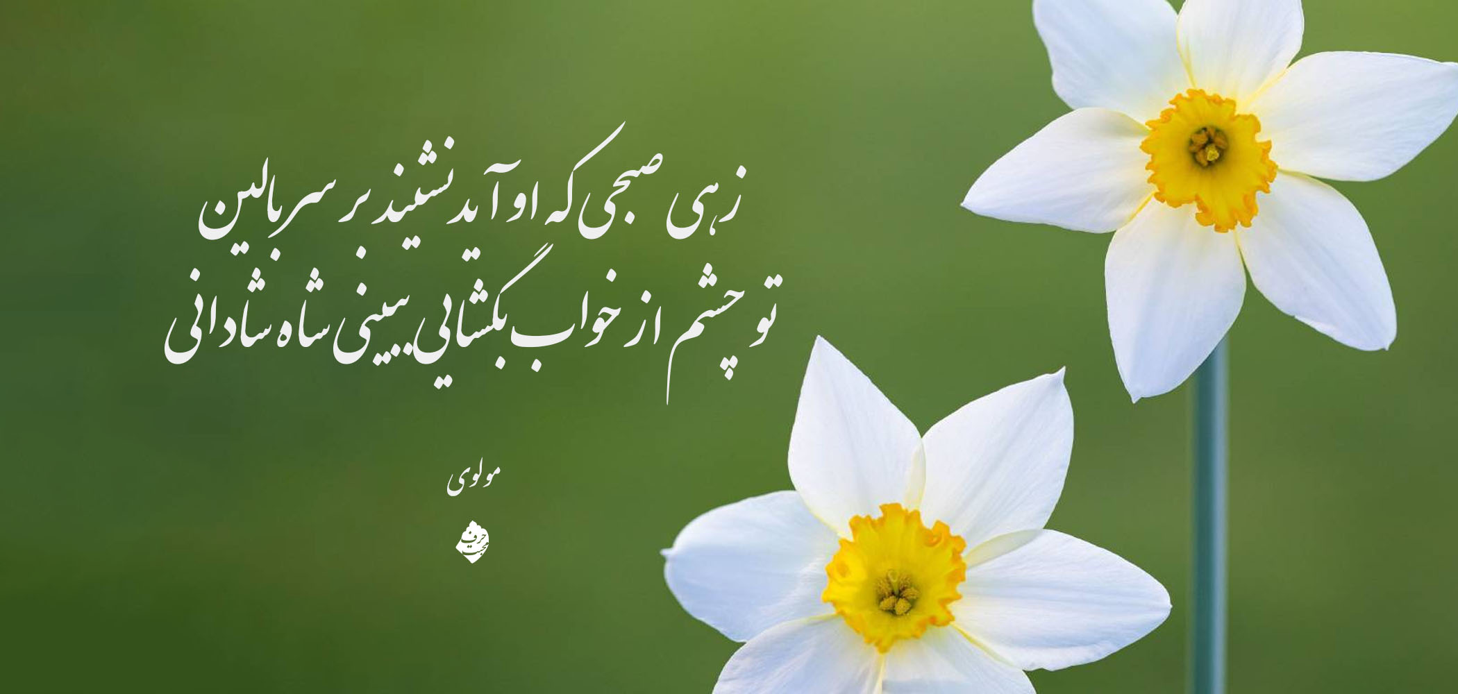 زهی روز و زهی ساعت زهی فر و زهی دولت